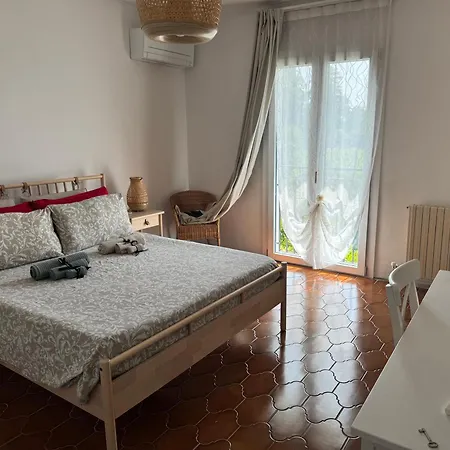 Sofia 3*