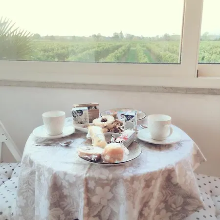 Sofia Bed & Breakfast 3*