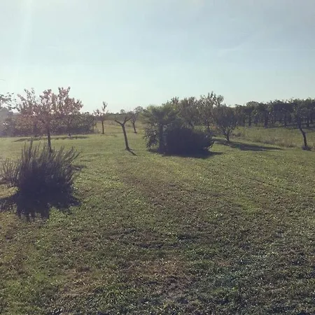 Sofia * Pramaggiore