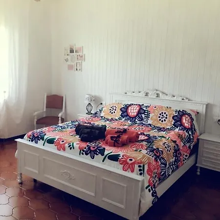 Bed and breakfast Sofia