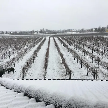 Nocleg ze śniadaniem Sofia 3*