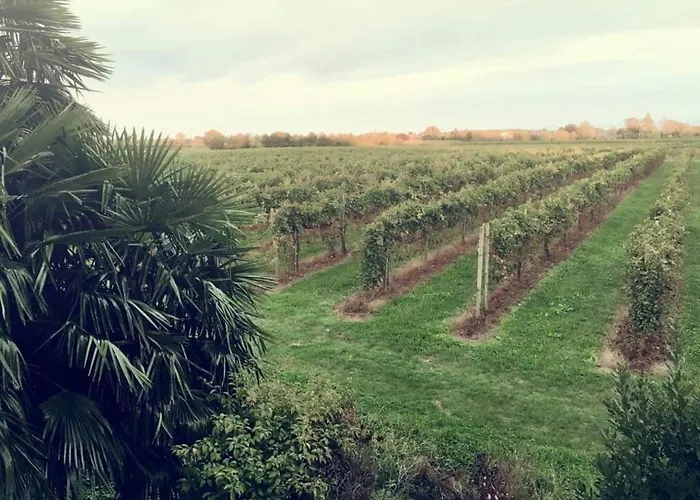 Sofia Bed & Breakfast 3*