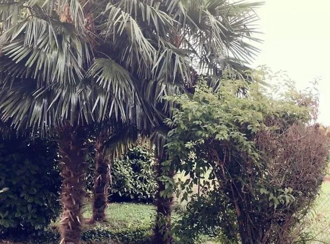 Sofia Bed & Breakfast 3*