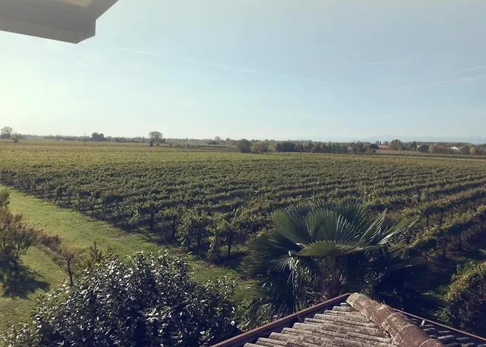 Sofia Bed & Breakfast 3*