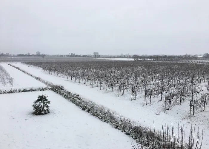 Sofia Bed & Breakfast